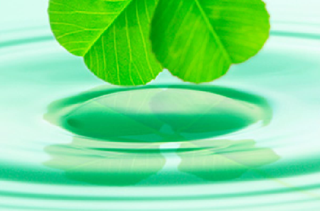 common_insurance_thumb